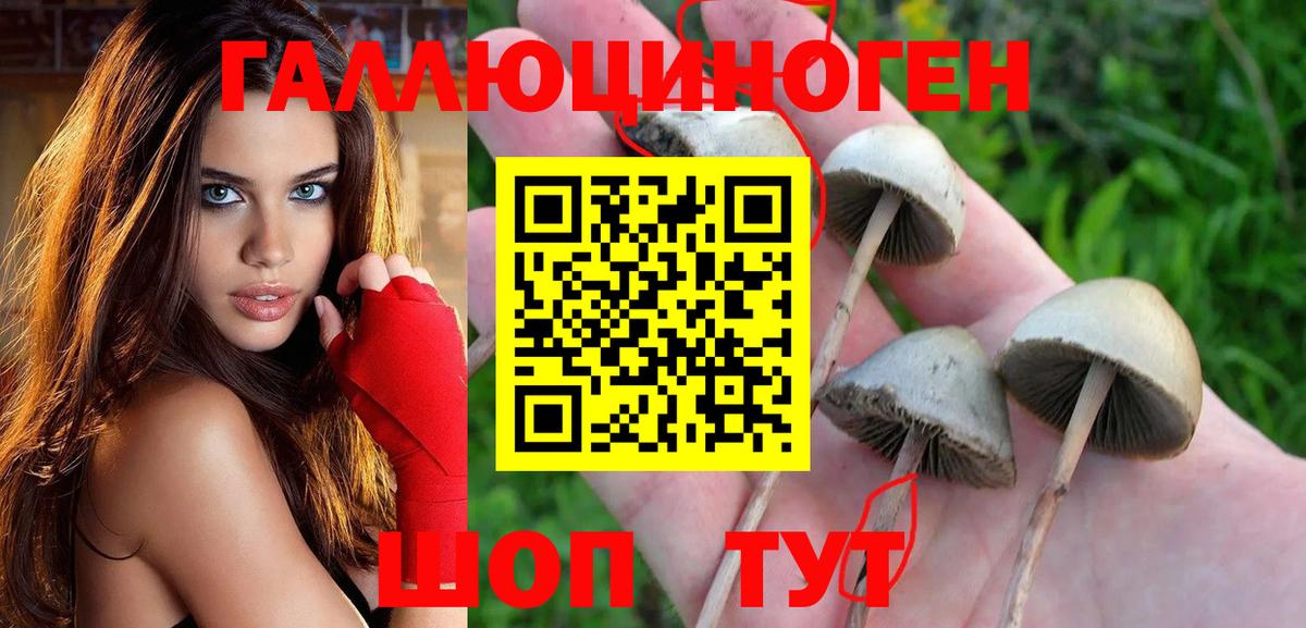 Назрань  Галлюциногенные грибы ЛСД  Вход с VPN 