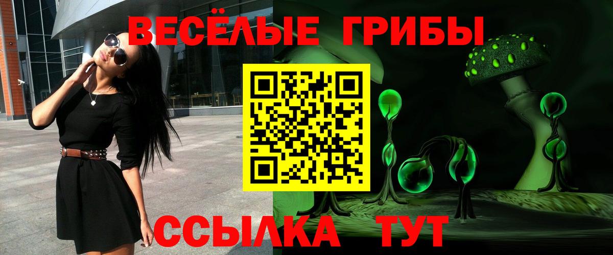 Галлюциногенные грибы Psilocybine cubensis Назрань